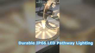 Luz de patio LED impermeable IP66 con aluminio fundido a presión utilizada en parques.