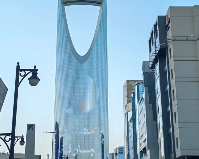 Últimos blogs de la empresa sobre ¿Por qué las áreas comerciales y hoteles en los Emiratos Árabes Unidos prestan más atención al efecto de iluminación y diseño de las luces de jardín?