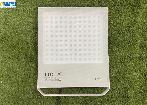 La eficacia alta llevó el reflector 50w100w 150w 200w